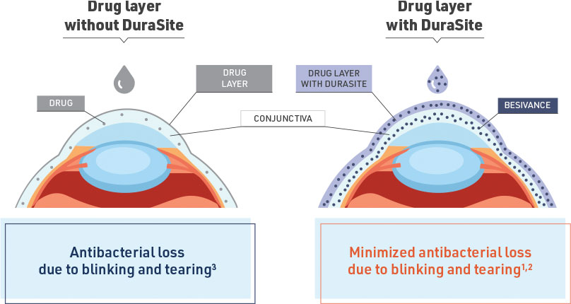 Drug Layer Image Drug Layer image